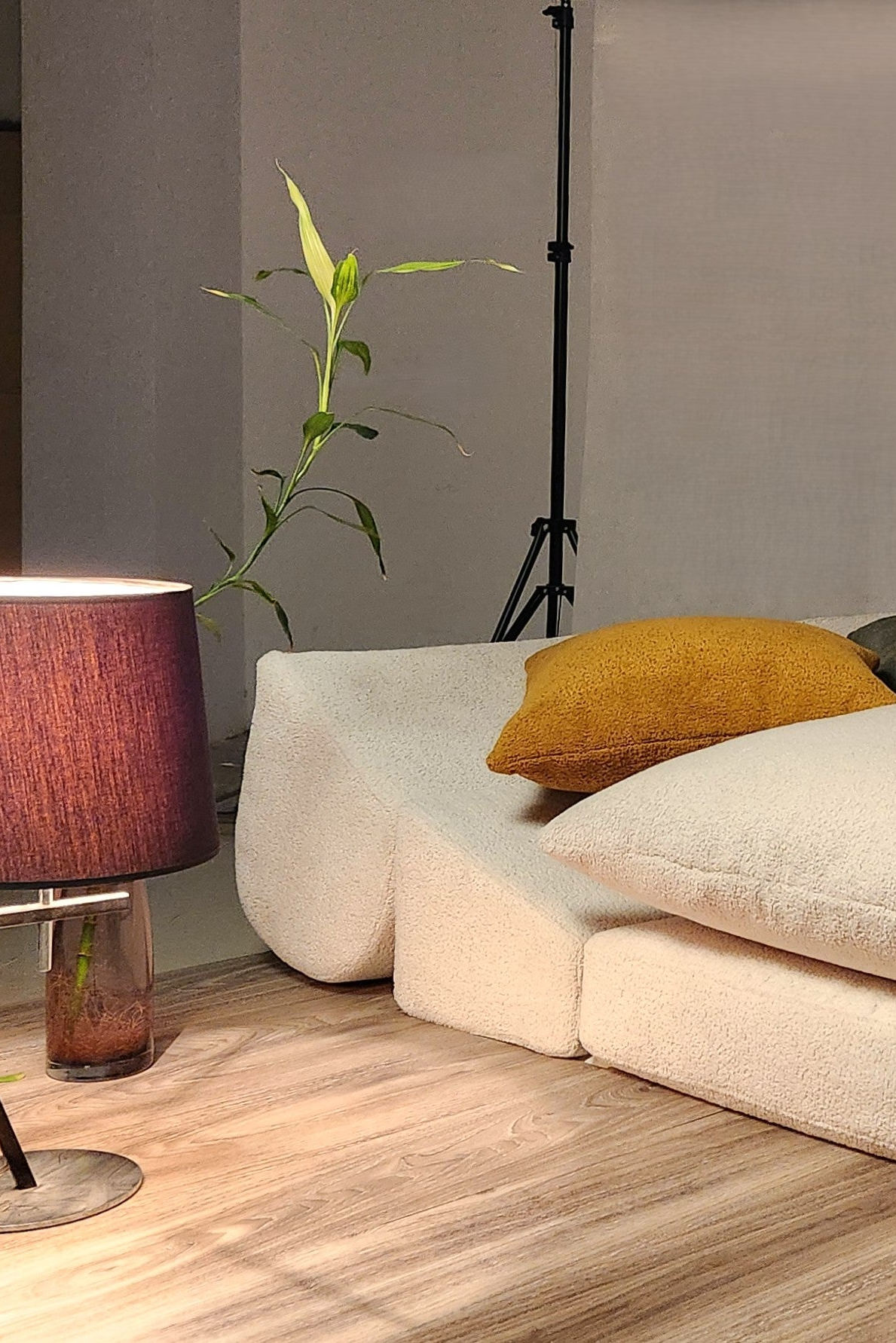 Products | Special Price
