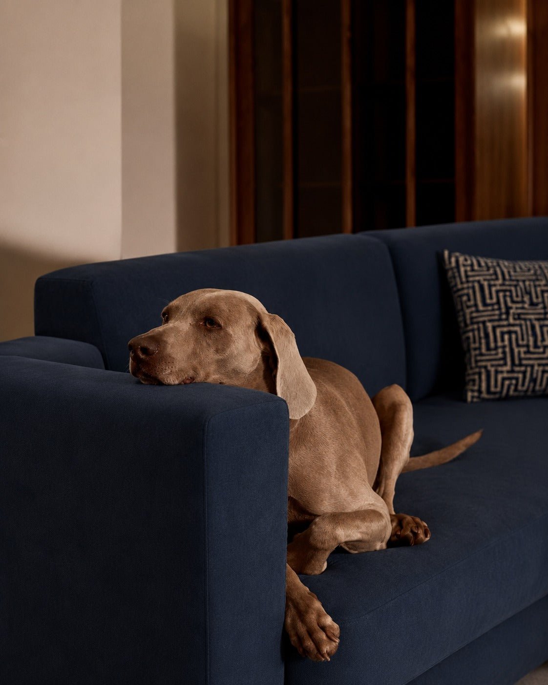 Horizon -L-Shape Sofa-